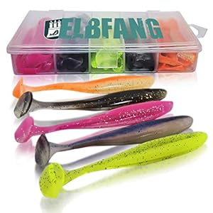 elbfang© Lot de 20 poissons en caoutchouc pour pêche au sandre | + 20 émerillons | Avec boîte d’appâts artificiels