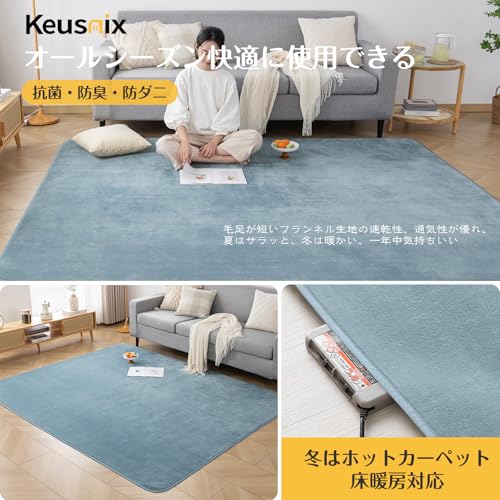 Keusnix ラグ カーペット ラグマット 洗える 滑り止め付 1.5畳 絨毯 防ダニ 抗菌 防臭 オールシーズン快適に使用 床暖房 ホットカーペット対応 ふわふわ肌触り フランネルラグ 135×185cm 無地 マリンブルー [3]