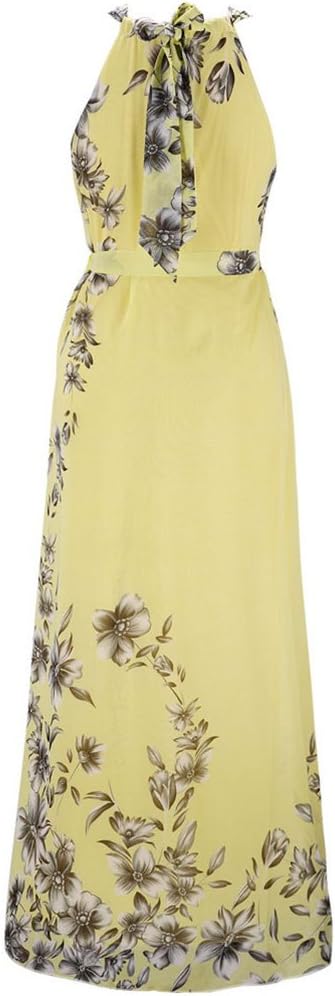 MissFox Women's Plus Size Dress Chiffon Printed Summer Beach Maxi Dresses L-6XL