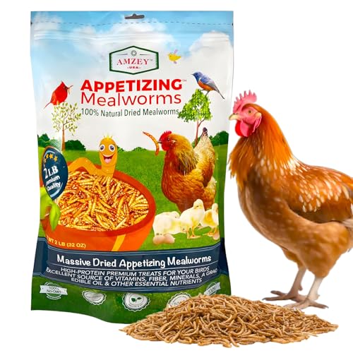 Amzey Dried Mealworms 2 LB, 100% Natural Meal Worms for
