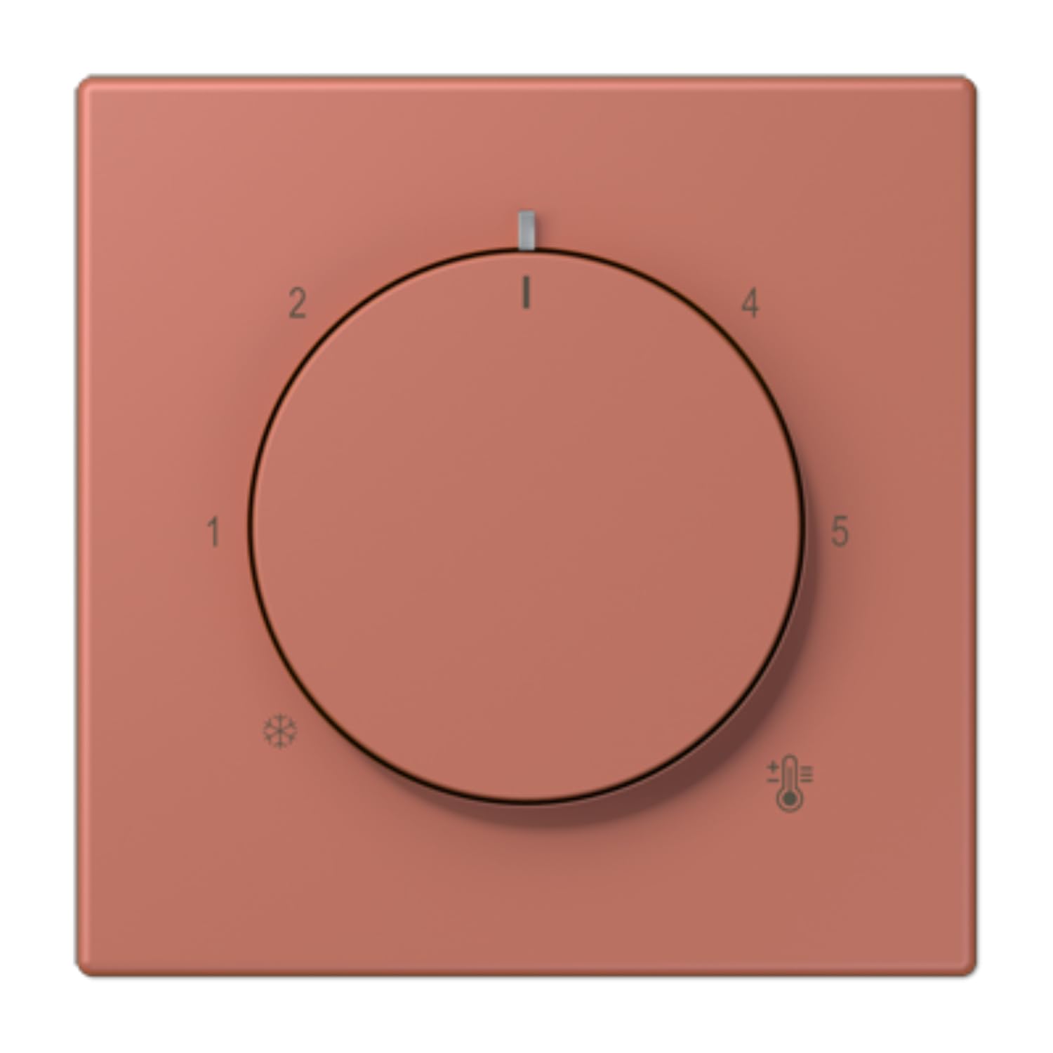 Plaque Thermostat LC32121 JUNG LC1749BF236 idéale pour salon moderne