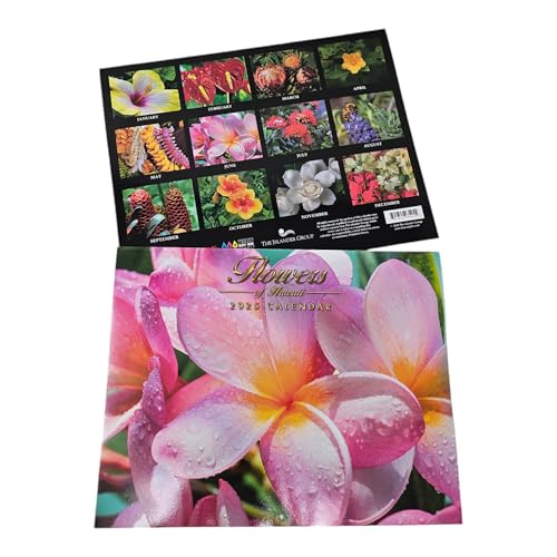 Long's Hawaii 2025NnCA12Ǌ|J_[A8.5C` x 11C` (nC̉)