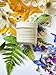 MIRACLE MOISTURIZER CREAM by Skincando 2 0z – All Natural - Organic - Intensive Moisturizer – Contains Organic Apricot Kernel Oil –- Grapefruit Seed Extract – Lavender Essential Oil – Spearmint Oil