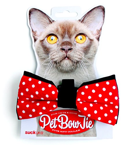 Suck Uk Pet Bow Tie #TOP2