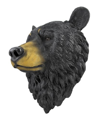 Estatua Decorativa Cabeza de Oso Negro 16 Pulgadas miniatura 3
