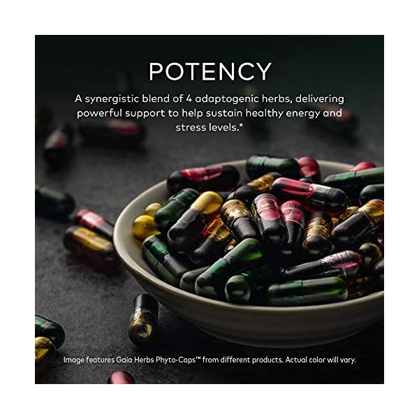Gaia-Herbs-Adrenal-Health-Daily-Support-Stress-Relief-and-Adrenal-Fatigue-Supplement-Holy-Basil-Ashwagandha-Rhodiola-Adrenal-Complex-Vegan-Liquid-Capsules-120-Count Gaia Herbs Adrenal Health Daily Support - with Ashwagandha, Holy Basil & Schisandra - Herbal Supplement to Help Maintain Healthy Energy and Stress Levels - 120 Liquid Phyto-Capsules (120 Count)