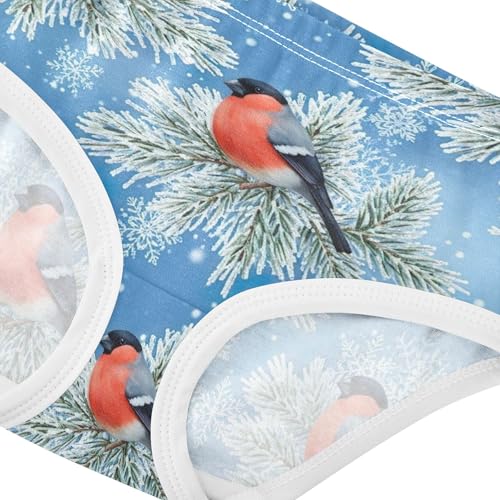 Aesthetic Toddler Underwear Floral 2t Cotton Panties Little Girl Red Birds Blue Sky Underpants Briefs4