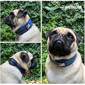 Tuff Pupper Ultra Comfort Padded Dog Collar | Thick Neoprene Padding | Ballistic Nylon Strap Dog Collar with Reflective Stitching | Durable Metal Buckle  Integrated Id Tag Holder | Waterproof Collar  Cucciolini Doodles Tuff pupper ultra comfort padded dog collar | thick neoprene padding | ballistic nylon strap dog collar with reflective stitching | durable metal buckle  integrated id tag holder | waterproof collar   cucciolini doodles