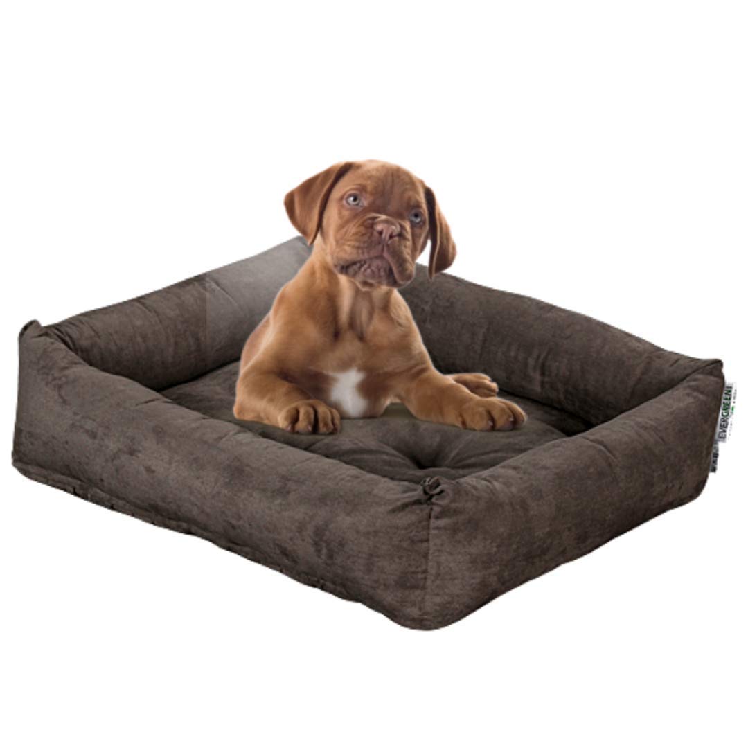 evergreenweb – Cama para perros 45 x 65 cm de tamaño pequeño, Relleno de Lazo Water Foam efecto pluma Suave lavable, caseta de interiores con cojín desenfundable, colchón para animales Domésticos, Rex