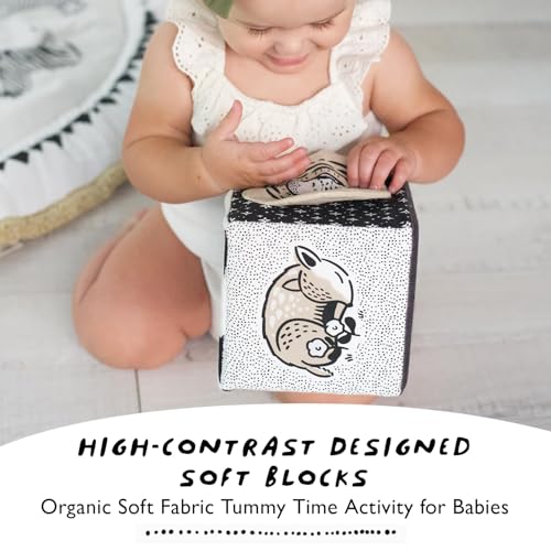 Image of Wee Gallery Soft Block, Baby Sensory Toy with High-Contrast Graphics, Organic Soft Fabric Soft Blocks, Crinkle Flap and Textures, Tummy Time Activity for Babies and Toddlers - Baby Animals