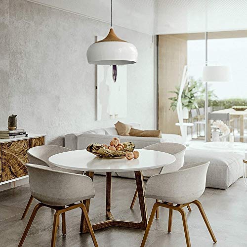 Chandelier de Style Simple E27 avec Hauteur Réglable Rond - 3