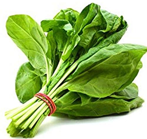 Splendour Seeds Palak seeds Spinach kitchen garden vegetable seeds (B010X1DXHC) Amazon Price History, Amazon Price Tracker