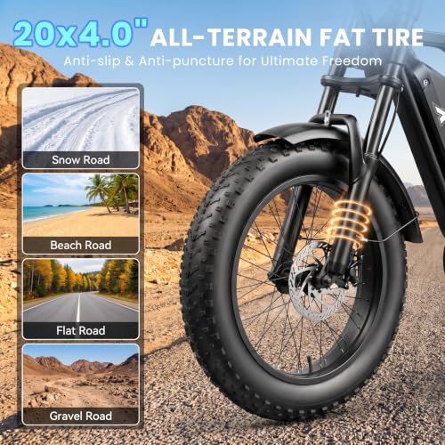 1500W Fat Tire Electric Bike