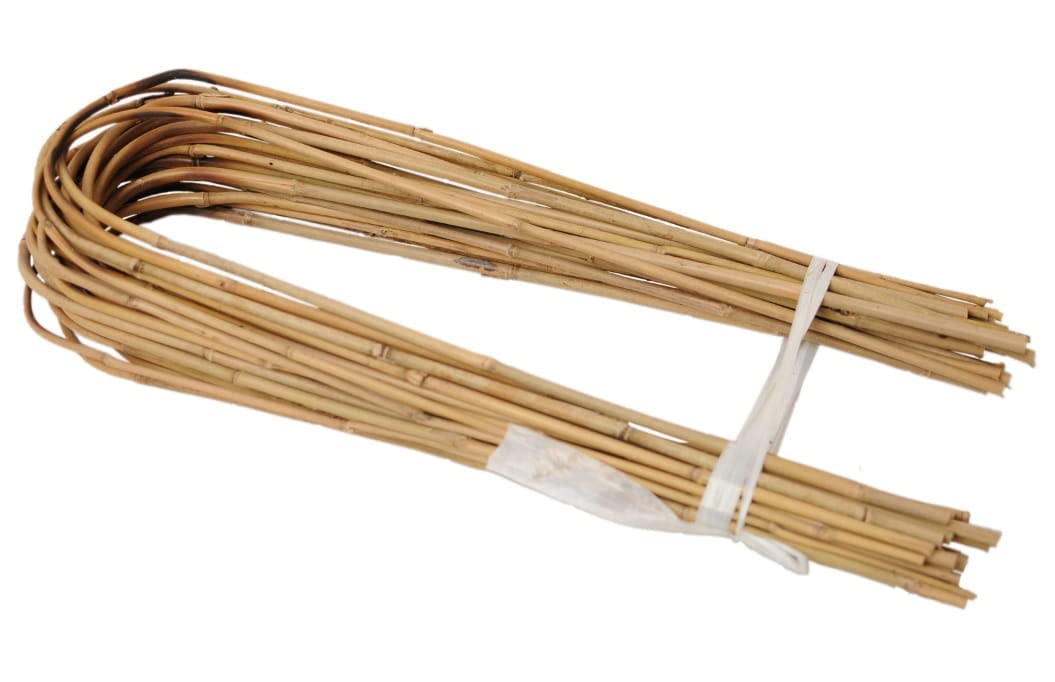 Dixiestore Gebogener Bambus Bambusstifte Natürliche - für Pflanzen Dekoratives Element Rankhilfe Clematis Efeu oder Orchideen Pflanzstäbe Stäbe - Größe 150 cm 14/16 mm Inhalt 100 Stück