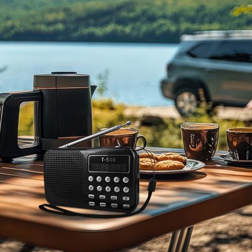 Radio AM/FM portable avec haut-parleur pour briser le silence - 2