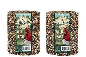 Mr. Bird Wild Bird Feast Bird Seed Large Cylinder