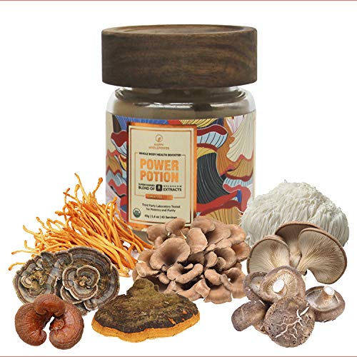 Power Potion High Potency Mushroom Powder Blend - Mushroom Extract Supplement - 8 Medicinal Mushrooms - Cordyceps, Reishi, Lions Mane, Chaga, Turkey Tail, Shiitake - USDA Certified Organic,1.6oz (45