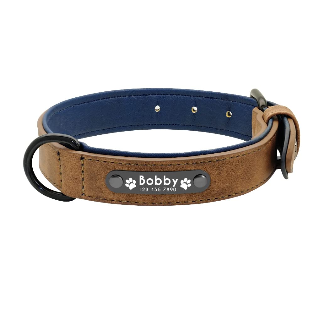 Collier personnalisé pour chien en cuir étiquette nom grand gabarit Pitbull Bouledogue XXL
