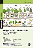  Lernposter Sachunterricht - 1./2. Klasse: 6 Poster für den Klassenraum (Bergedorfer® Lernposter)