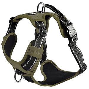 Bobby Rando Walk – Harnais pour Chien, Moyen Petit Grand en Nylon, Sûr, Confortable, Réfléchissant, Ajustable, Kaki, M/40-63×2 CM