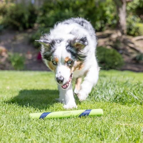 Image of Chuckit! Peanut Butter Sniff Fetch Stick Dog Toy, 12in Length, 1 Pack