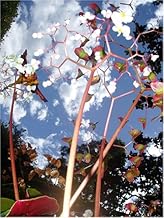 HAS/HAS HUMAN AUDIO SPONGE Live in Barcelona-Tokyo [DVD]