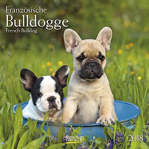 Französische Bulldogge 2018: Broschürenkalender mit Ferienterminen. Hunde-Kalender. 30 x 30 cm Französische Bulldogge 2018: Broschürenkalender mit Ferienterminen. Hunde-Kalender. 30 x 30 cm