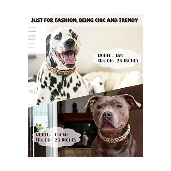 PP-COLOR-Gold-Chain-Dog-Collar-34-Width-Cuban-Link-Dog-Necklace-Cute-Fashion-Pet-Collar-for-Pit-Bulldog-Light-Metal-Jewelry-Chain-Puppy-Accessories-20 Unleash Your Pet's Style with Our Gold Chain Dog Collar!