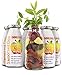 Hunde Smoothie SmoothieDog 6er Immunio (Rind) - Flüssiges Hundeleckerli - Zucker- & glutenfrei - je 250ml