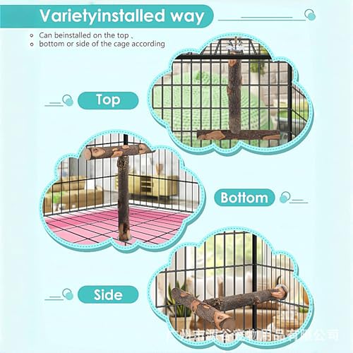 Perchoir à volière pour perruches et conures - Accessoire de cage en bois naturel
