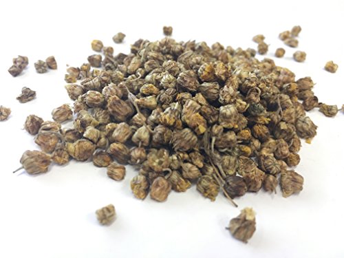 Wild Indian Chrysanthemum | Dendranthema indicum | Ye Ju Huaâ€‹ | é‡ŽèŠèŠ±â€‹