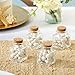 Kate Aspen, Square Glass Favor Jar, with Cork Stopper, Petite Treat, 12 Count (12PCS)