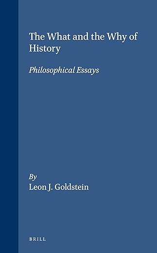 The What and the Why of History: Philosophical Essays (Philosophy of History and Culture, 15)