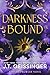 Darkness Bound (A Night Prowler Novel Book 5)