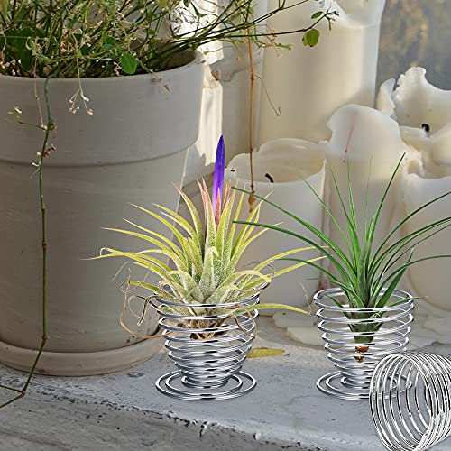 Liyi Air Plant Stand Container, 8 Pcs Air Fern Display Stand Stainless Steel Air Plant Holder For Live Tropical Plant Home Office Desktop Decoration (Silver) #TOP5