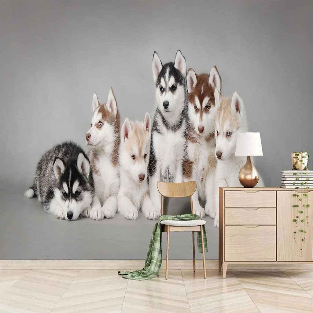 Papier peint photo 3D pose facile pour rénover un salon moderne