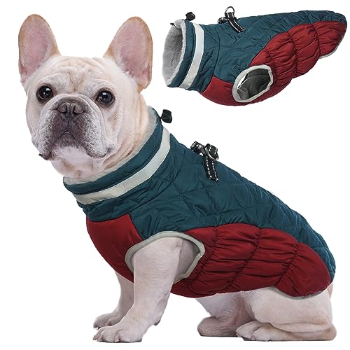 Kuoser Hundemantel Winter für kleine Hunde Wasserdicht & Winddicht, Warme Hundejacke mit Fleecefutter Reflektoren Reißverschluss, Pelzkragen & D-Ring – Outdoor Hundebekleidung, XS