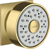 Anschlussgröße: DN15 hansgrohe Seitenbrause 1 jet Rosette eckig; Farbe: Brushed Brass
