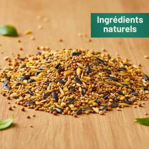 Agrarzone Nourriture pour Oiseaux Sauvages Toute l'année 20 kg - Nourriture avec mélange de graines de qualité - Nourriture avec graines de Tournesol - sans poussière et additifs – vue 3