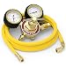 YESWELDER Nitrogen Regulator with Hose, 0-600 PSI and 0-4000PSI Output