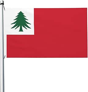 Amazon.com : Double-Sided Ensign of New England (pine only) Flag 3x5 Ft ...
