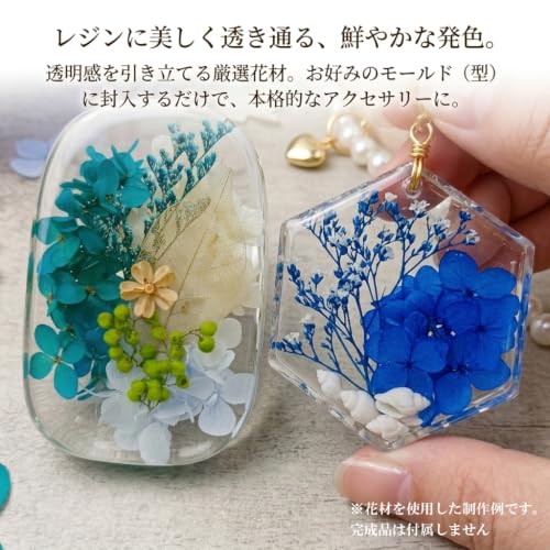ガーデンパレットモノ 小分け 花材 資材 小分けアソート おまかせ 夏ブルー レジン ネイル ハーバリウム アロマワックス サシェ プリザーブドフラワー ドライフラワー 02974AZ [5]