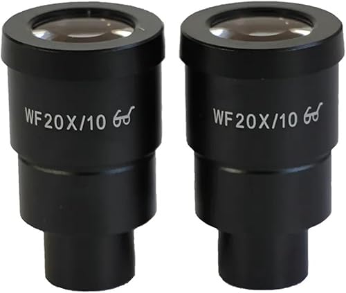 Kit de accesorios para microscopio 1 par 20X ocular de microscopio estéreo negro extremo para microscopio trinocular diapositivas de microscopio