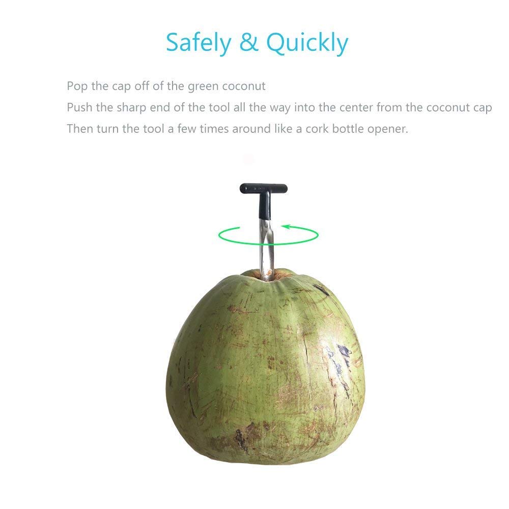 P-Plus International Stainless Steel Coconut Opener Tool Tender Tools – Deluxe Opening Utensil for Young Coconuts – Easy & Comfortable Grip – Ultra Safe for Your Hands (Pack of 1) 2