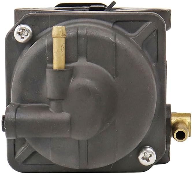 2023 24実生苗セット❤️ 2023 24実生苗セット❤️4センチポット 4号