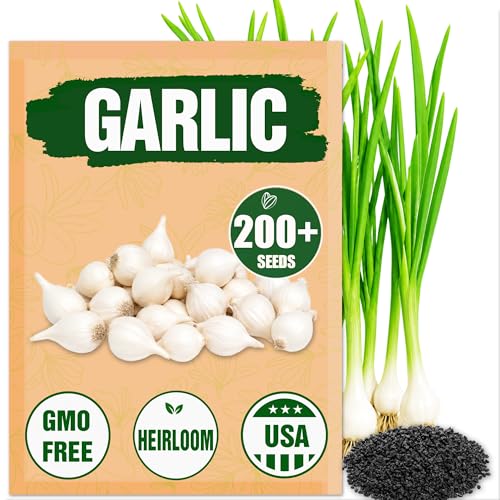 Garlic Seeds for Planting (Allium sativum) - 200+ Heirloom Non-GMO - Easy-Grow Culinary Herb Robust Flavor Cold-Hardy Perennial Vegetable for Home Gardens