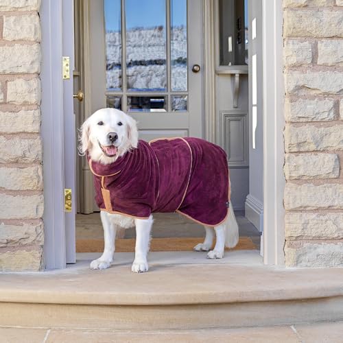 Lucky Paws® Hundebademantel – doppellagiger, Ultra-absorbierender & luxuriös weicher Bademantel Hund – Hunde in Minuten trocknen – Hundehandtuch & Hunde Bademantel in 1 (XL, Pflaume)