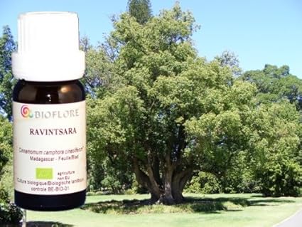 disintossicazione per marijuana 1 giorno