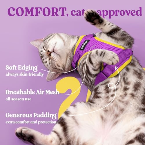 Image of rabbitgoo Cat Harness and Leash Set, Escape Proof Vest, Purple & Yellow | Soft Breathable Mesh, Easy Adjustable Fit, Snap Buckles, Sturdy Clip, Reflective Strips, for Average Cats Walks, S