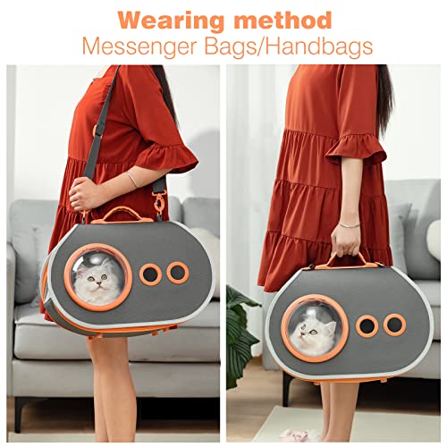 PETCUTE Transportbox Hund,Transportbox Katze,Atmungsaktive Transporttasche für Katze Hund,Haustiere Tragetasche mit Verstellbarer Schultergurt,Abnehmbare Matte,Hundetasche für Katzen und Hunde - Image 5